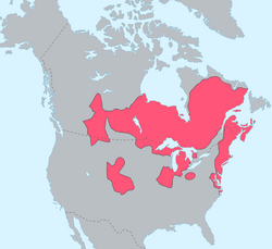 Algonquian Language Map