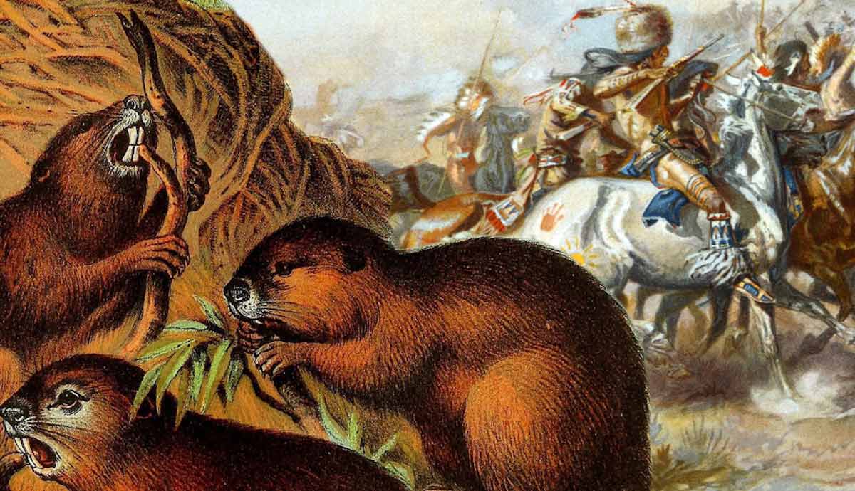 Beaver Wars Iroquois
