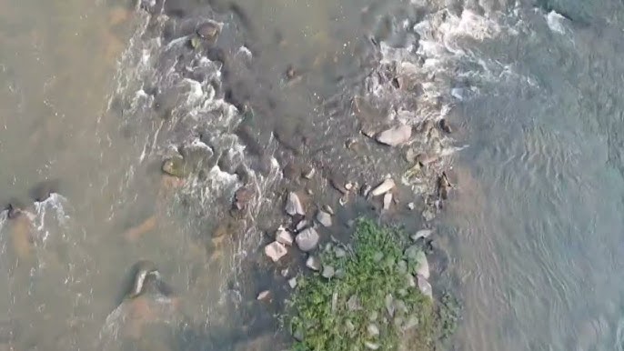 Stone Fish Weir
