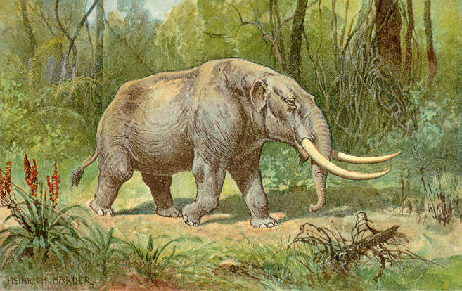 Mastodon Art