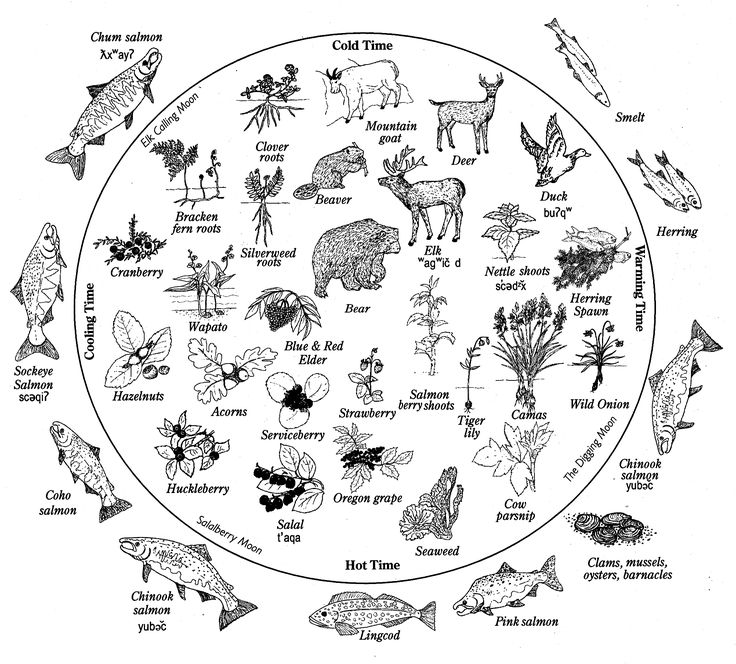 Sacred Seasonal Wheel and Cycles